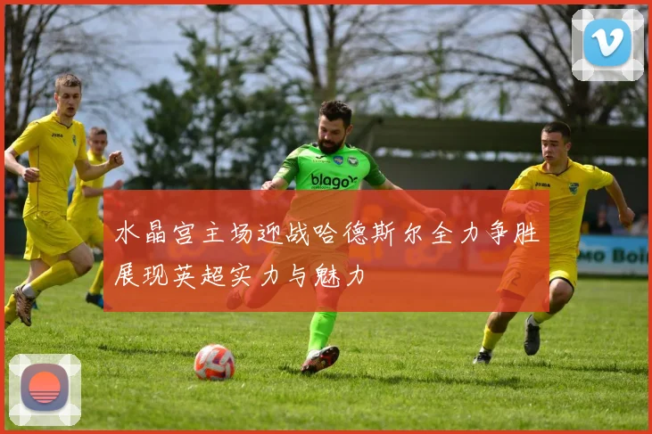 水晶宫主场迎战哈德斯尔全力争胜展现英超实力与魅力