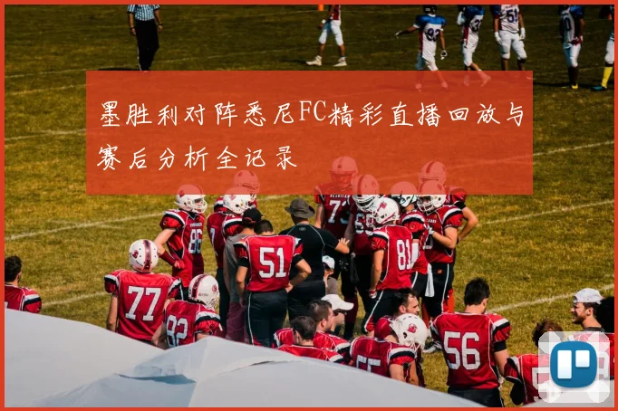墨胜利对阵悉尼FC精彩直播回放与赛后分析全记录