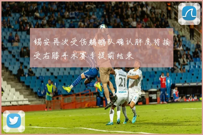 锡安再次受伤鹈鹕队确认胖虎将接受右膝手术赛季提前结束