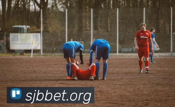 世界杯下注买球APP 封面图